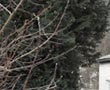 Schreinerei Steiert-Schill - Start